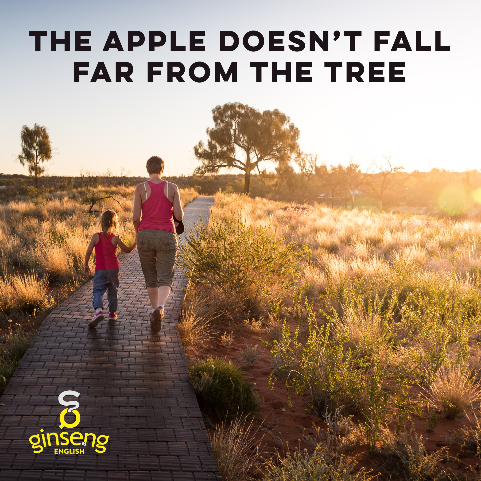 Fall Idioms | Ginseng English | Learn English
